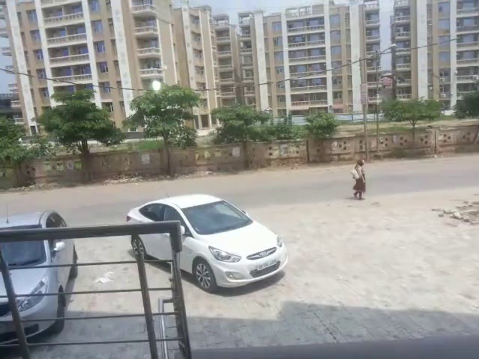 Hollywood Plaza in Vip Road Zirakpur-9988010405