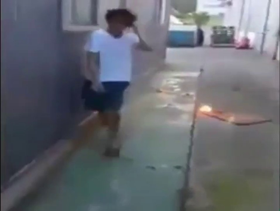 Hammer vs Cell Phone