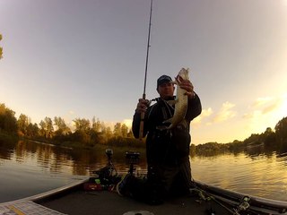 combat brochet irlande