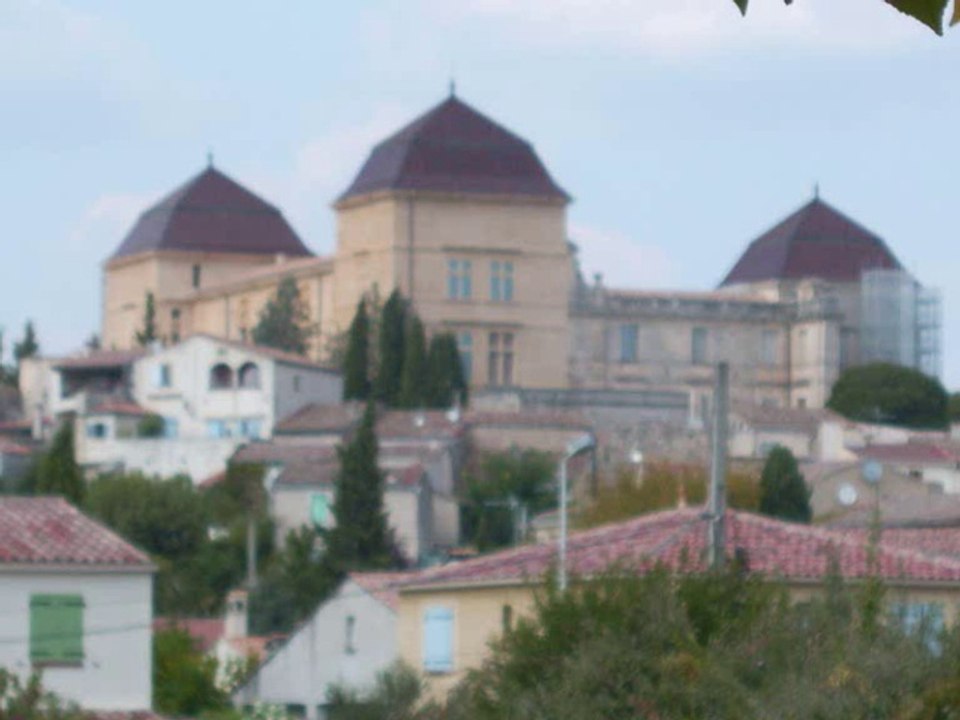 1 partie de castries et son chateaux