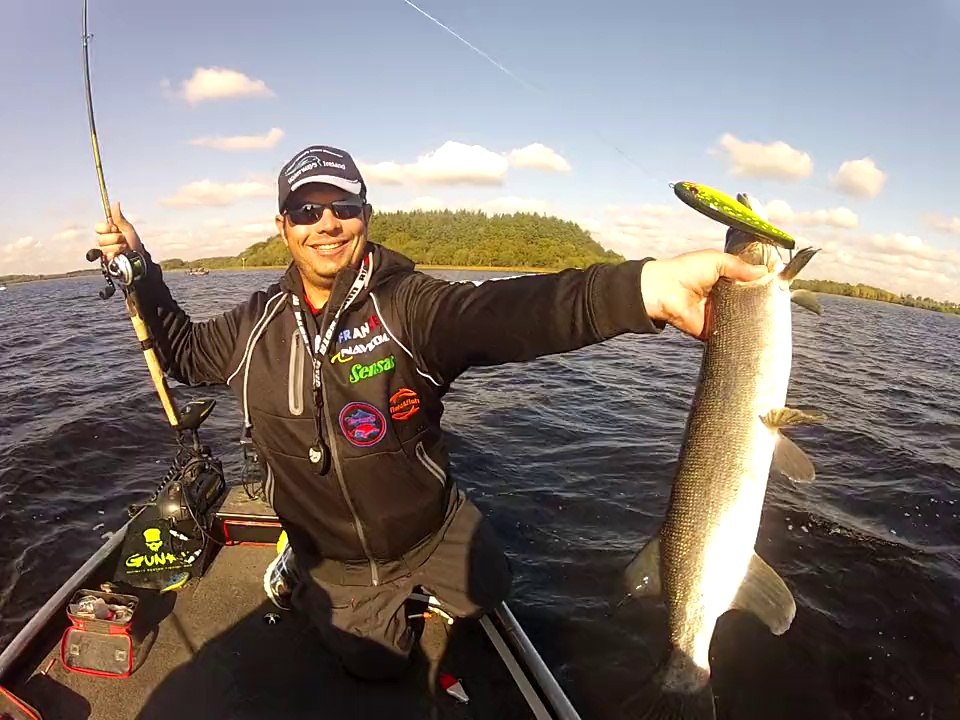 combat brochet irlandais