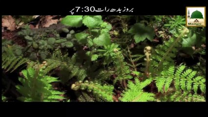 Promo - Faizan e Quran - Wed 7-30pm