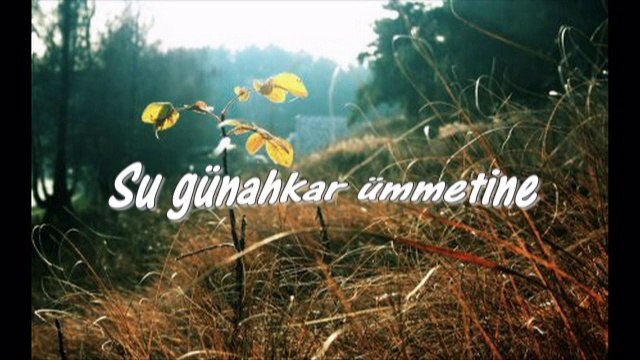 Tuncer Yolal - Aleyke Ya Habiballah (ilahi)