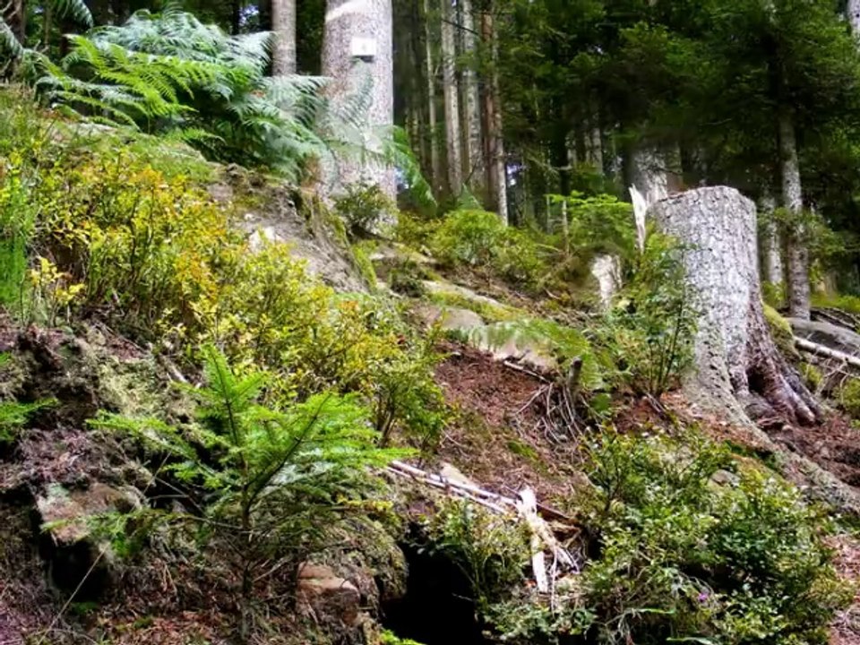 Roche de la Salière