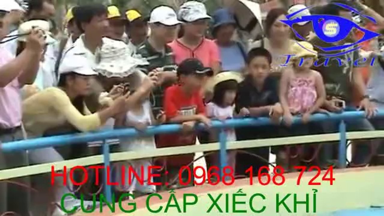Cung cấp xiếc khỉ, xiếc khỉ đạp xích lô trung thu 2014 LH: 0968 168 724
