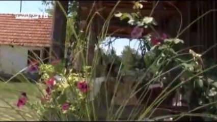 Zare i Goci - Baraba - Komedija - (Dobro jutro komsija)