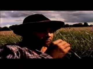 Cow boy