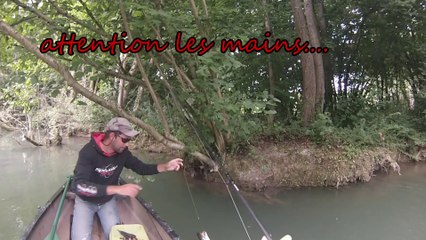 le moulin de sauvage!