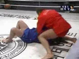 Fedor VS Voronov sambo exhibition