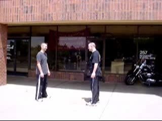 Défense contre poing pleine tete