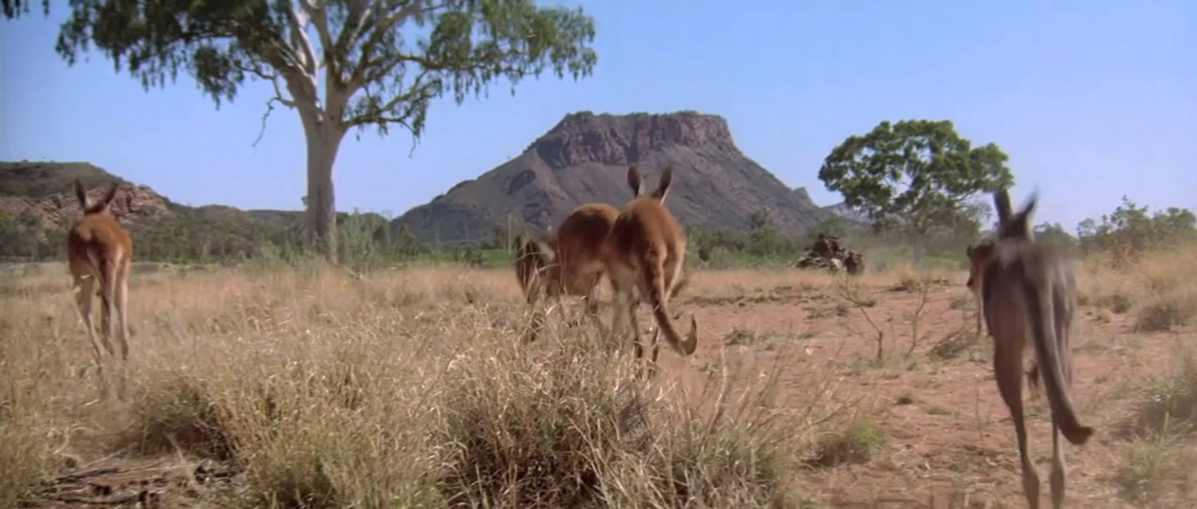 Quigley Down Under Official Trailer #1 - Alan Rickman Movie (1990)