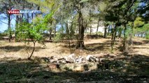 Misteriosi sotterranei emergono ai piedi di Castel del Monte (Andria - UNESCO)