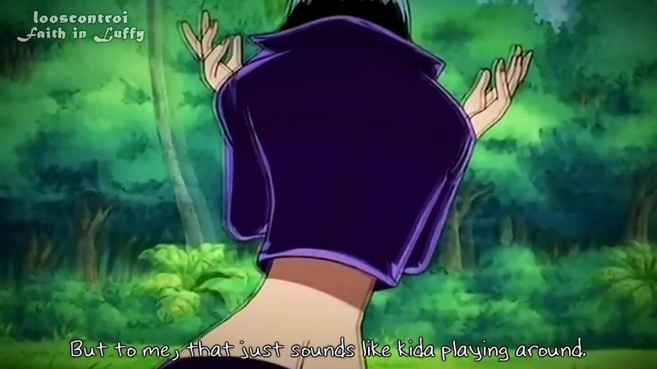 One Piece  Faith in Luffy