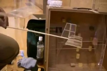 Super light RC indoor planes