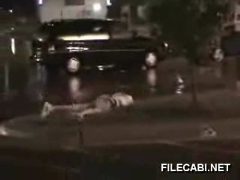 Panneau ds la gueule