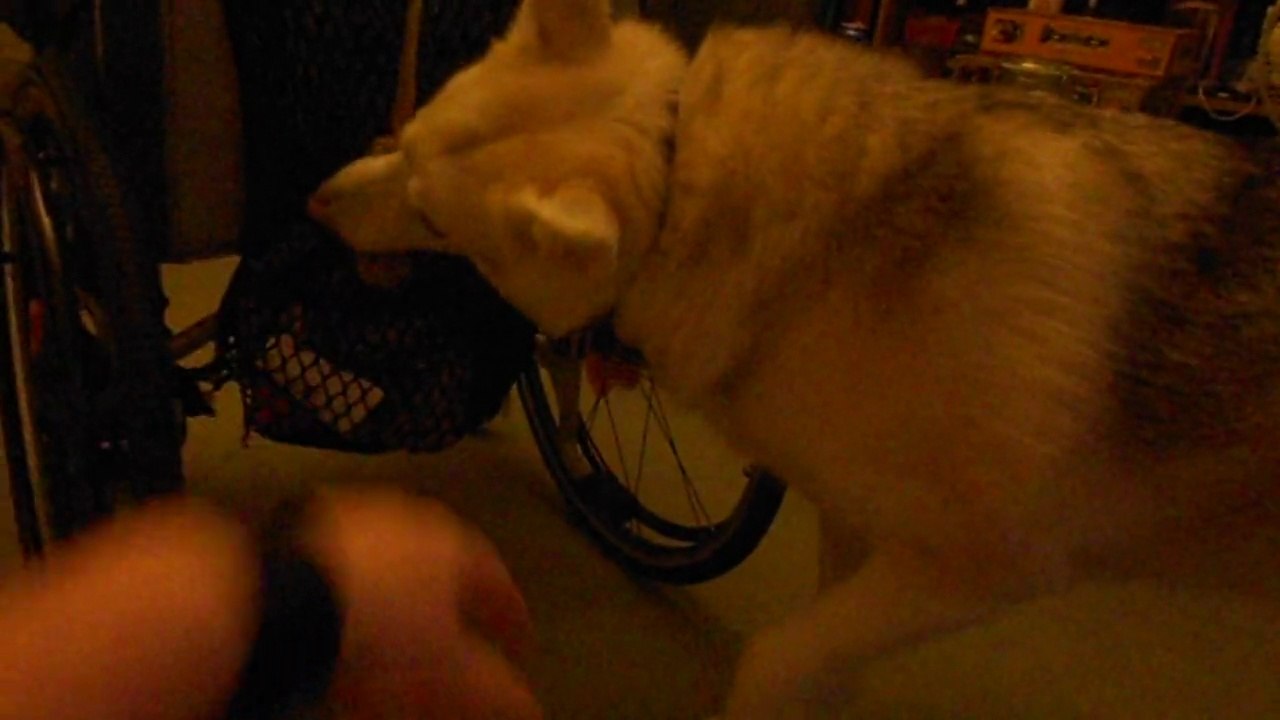 Bringing my chair over