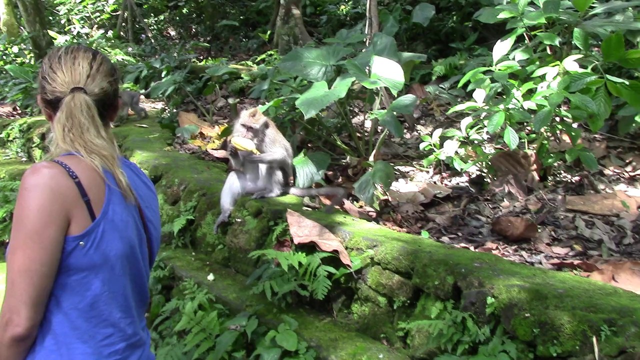 2014 05 Bali Monkey Forest MVI_0046
