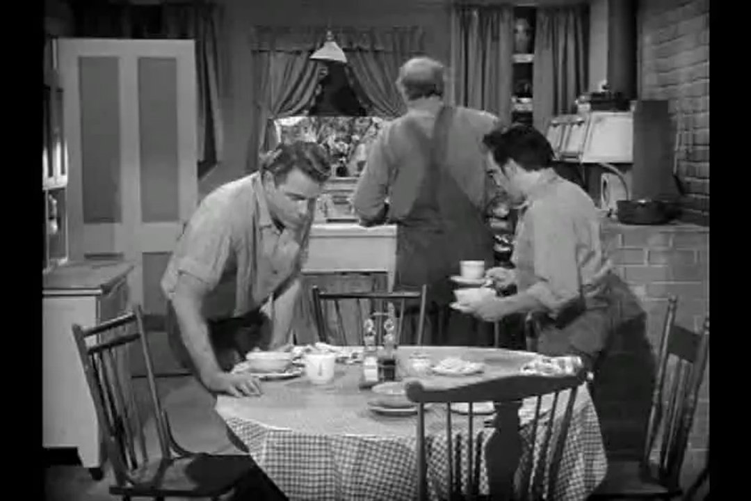 The Real Mccoys - s01e19 - Little Luke's Education