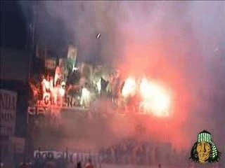 Green Angels St. Etienne (mix)