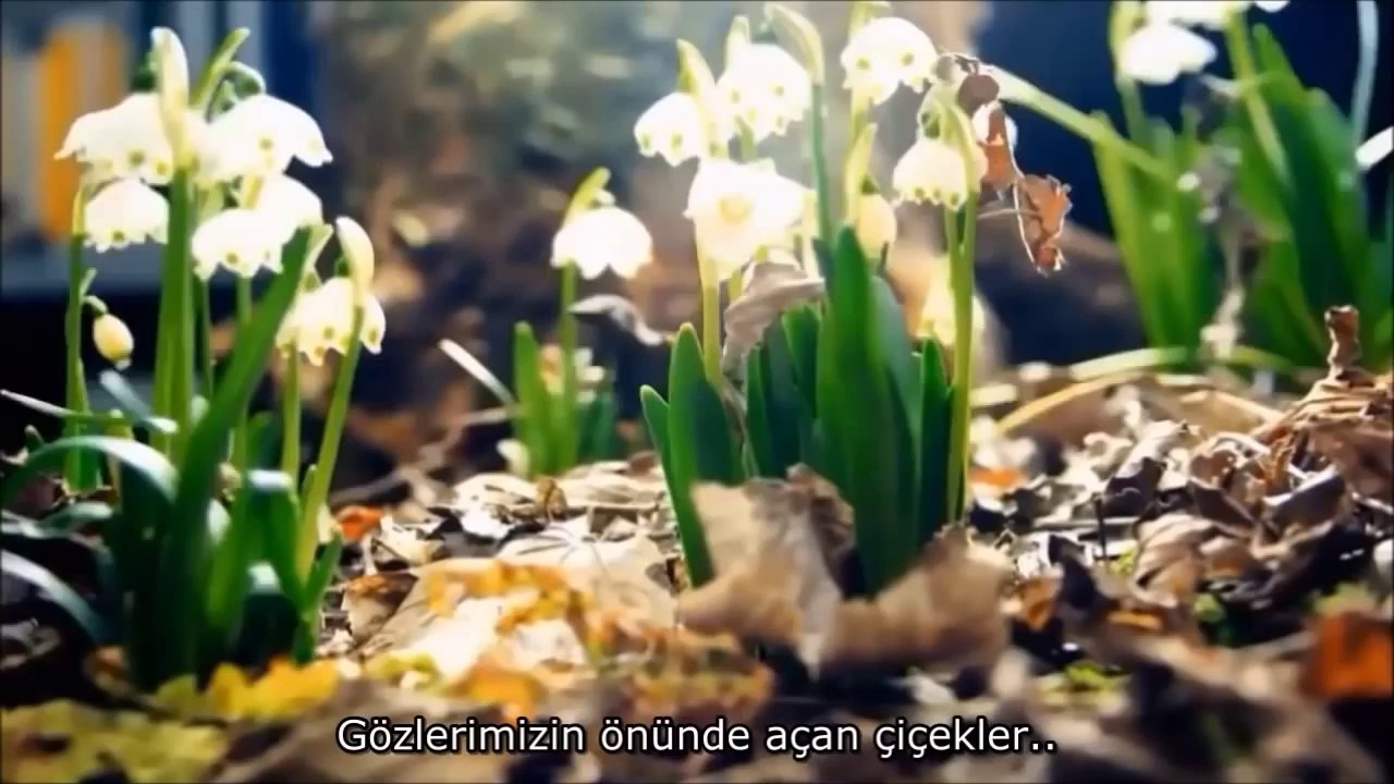 Ey insan! İhsanı bol Rabb'ine karşı seni aldatan nedir? (İnfitar suresi 6)