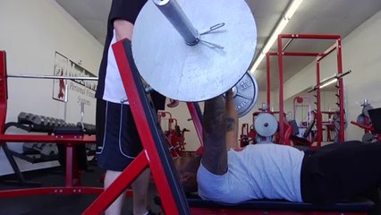 Diet & Exercise Help _ How to Gain Pectoral Mass