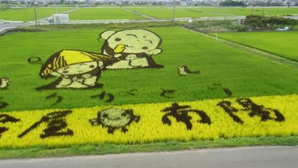 Rice Field Art in Japan!