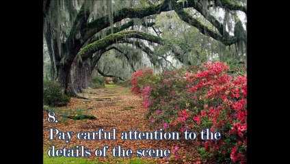 Learn Digital Photography Now