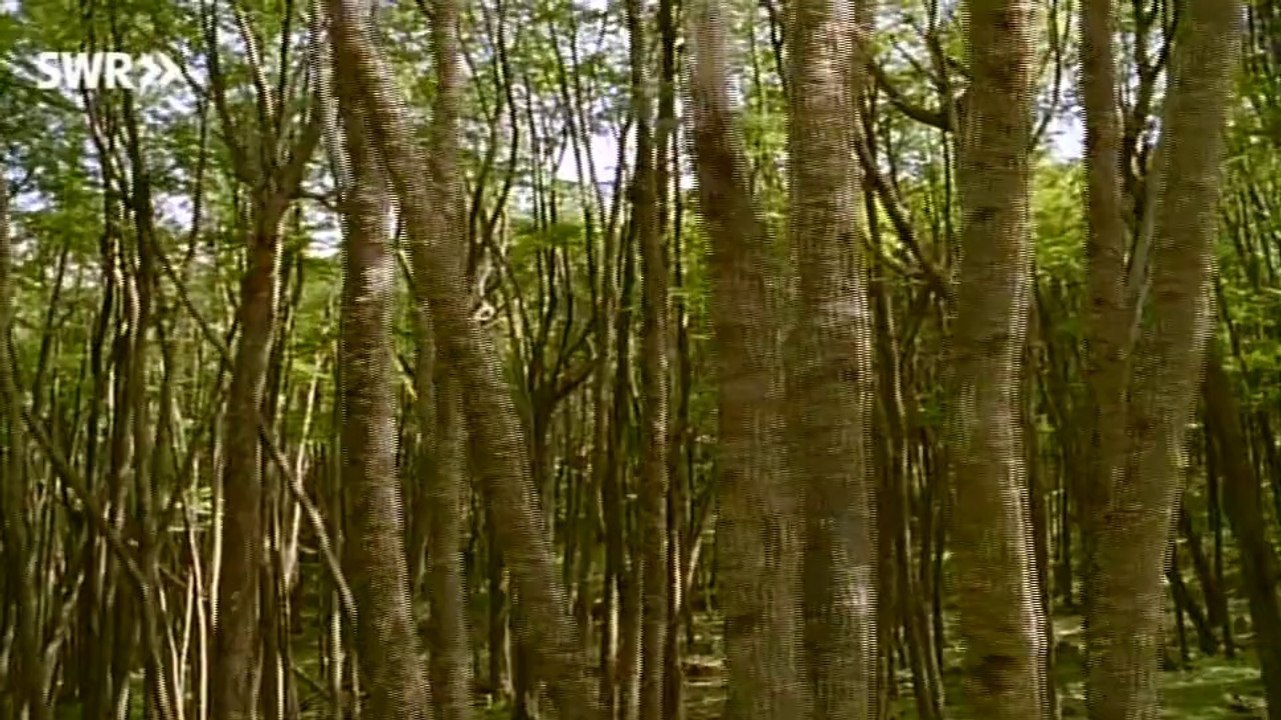 Schaetze der Welt E076 - Los Glaciares, Argentinien