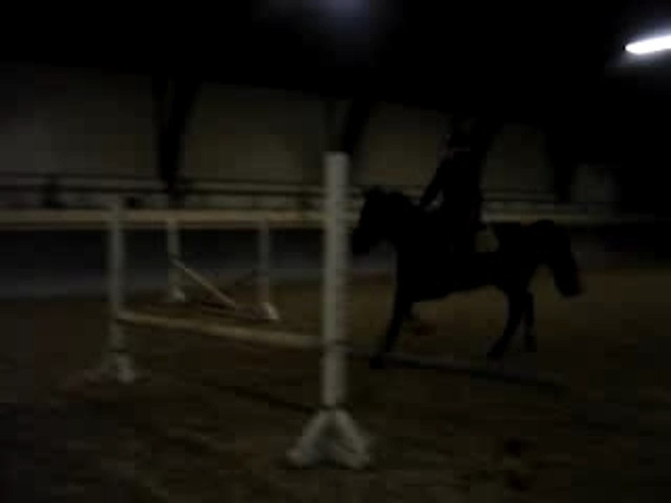 Faulx vendredi 9-2-07 147