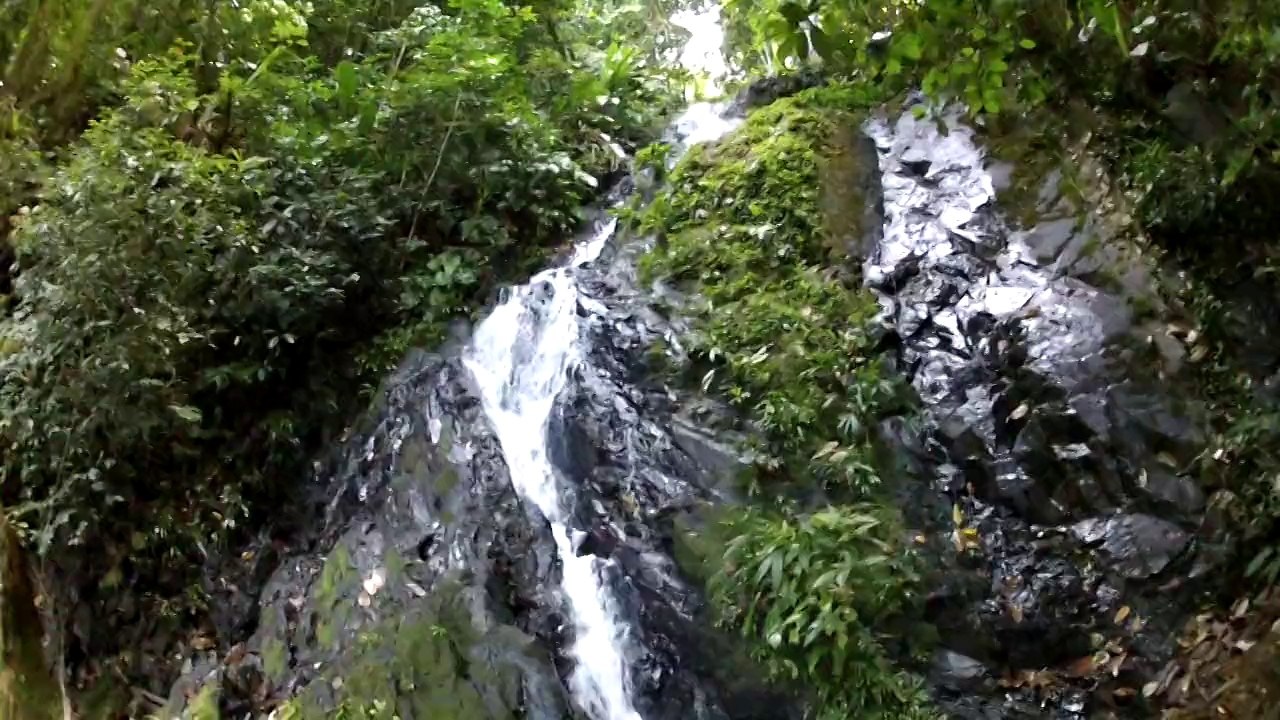 Cascade dans le Brownsberg