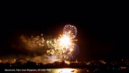 Focuri de artificii - FRANTA - 23 iulie 2014