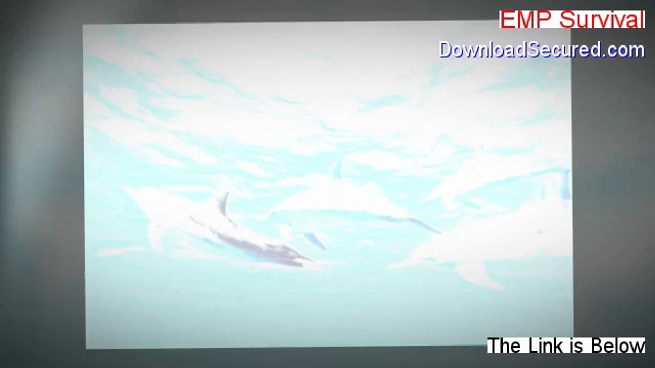 EMP Survival Download Free (emp survival supplies)