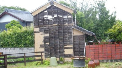 Summer Rain in Japan