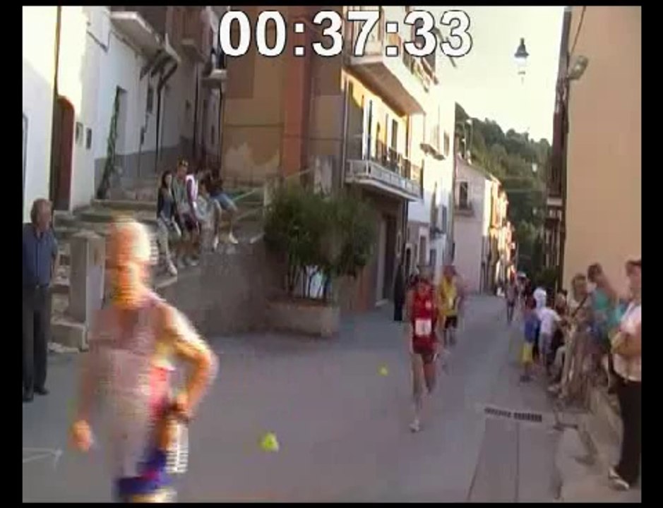 CASTELLINO2014