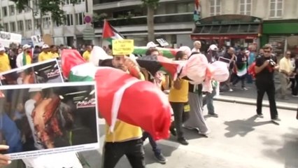 Pro Palestinian protests around the world