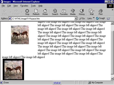 Tag img border attribute in Html5 Tutorial 7-6 in Urdu-hindi shaikof