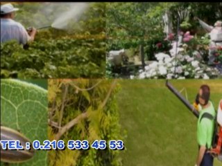 usy temizlik hizmetleri