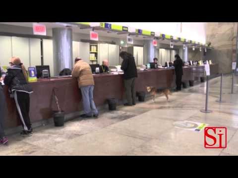 Napoli - Riscossione tributi, in campo i vigili urbani (09.08.14)