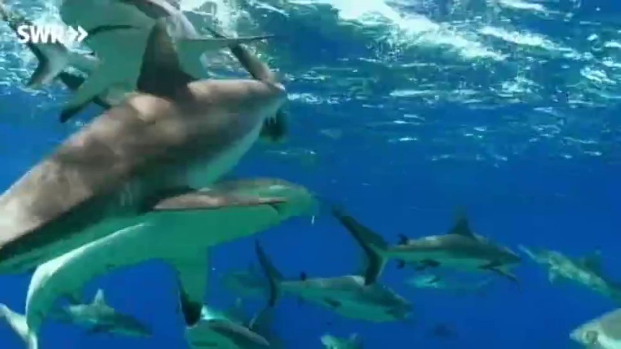 Schaetze der Welt E393 - Bikini Atoll, Marshall Islands, Ozeanien