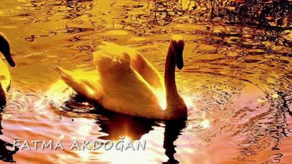 Richard Clayderman - Romeo & Juliet