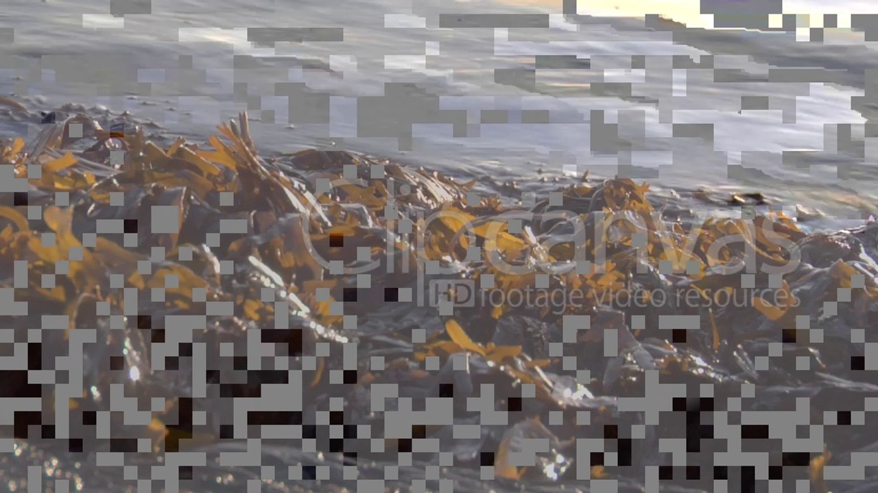 Clarifying Sensible Solutions Of generic