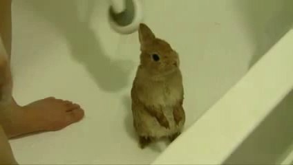 ↑카지노머니▤＠♥▶ YAM ７７７.℃OM ◁♥←카지노머니카지노머니카지노머니카지노머니카지노머니카지노머니카지노머니카지노머니