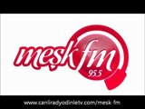 Radyo Meşk fm