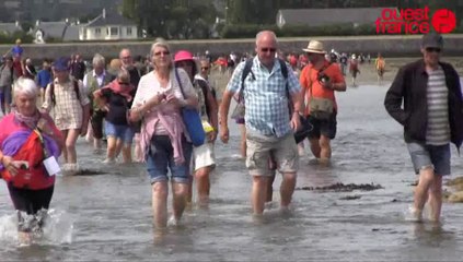 Traversées de Tatihou : les premiers festivaliers les pieds dans l'eau de mer de l'estran