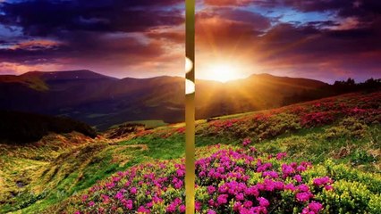 RUHİ SU-ALTIN HIZMA