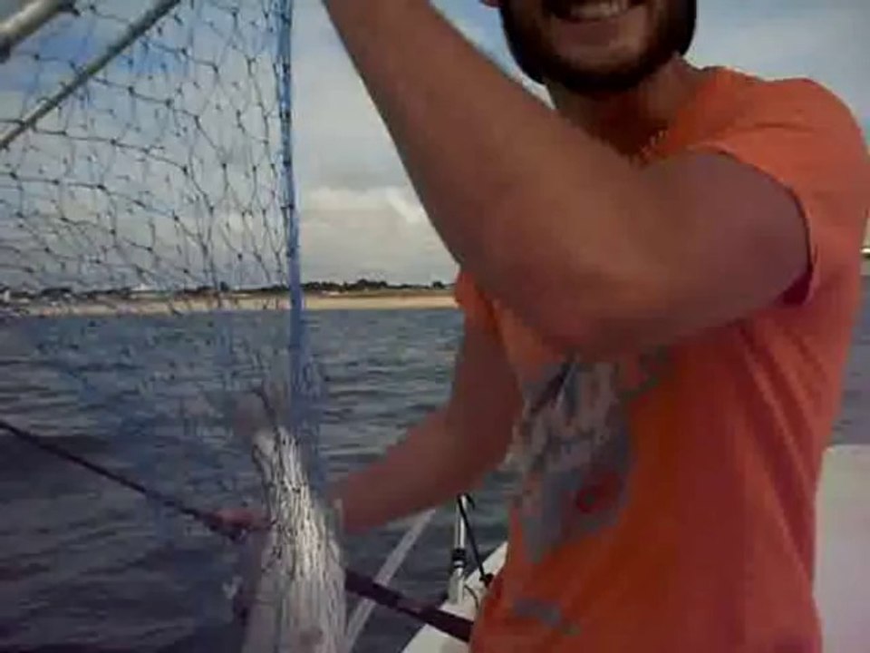 Peche au bar aout 2014 les goëlands 50