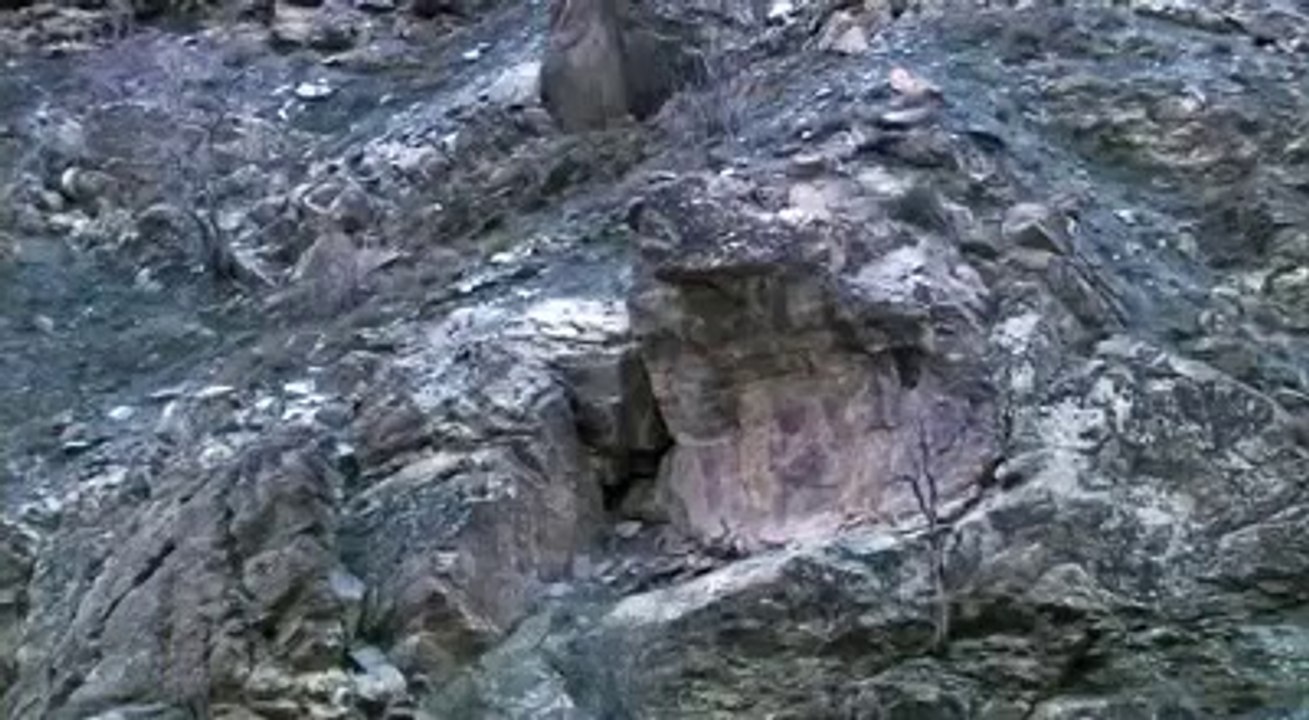 Pakistan's Wild life and Places, a documentry