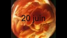 Aujourdhui m'a maman ma fait mourir
