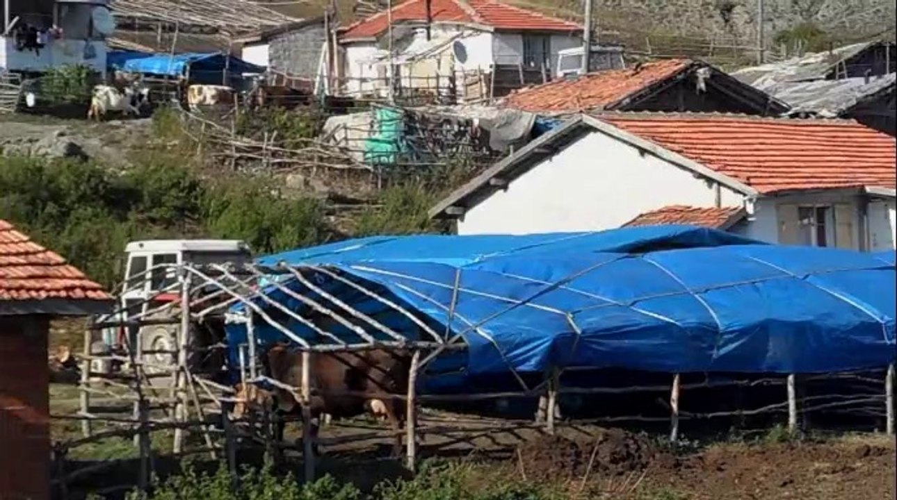 TOKAT AKBELEN YAYLASI -2014