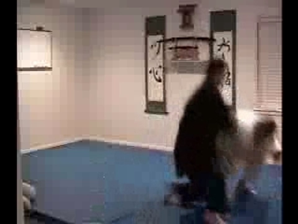 Enchainements défense de poings